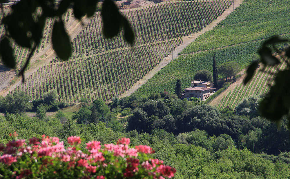 CentoTrentaNove sleeps 6 walk to village