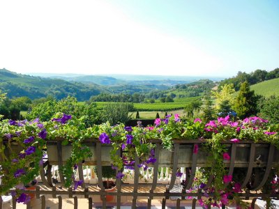 Villa Gabriela - Stunning Piedmont B&B - sleeps from 2 - 14