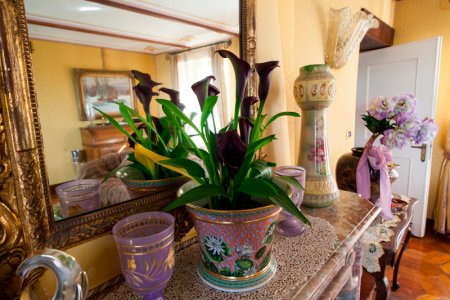 Villa Gabriela - Stunning Piedmont B&B - sleeps from 2 - 14