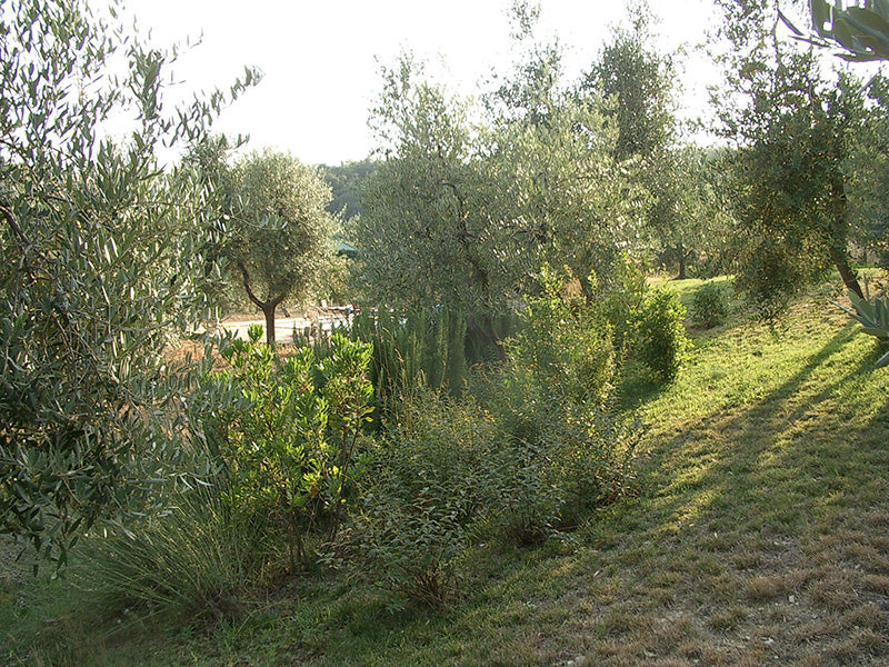 CentoTrenta - two apartments up to 4 each