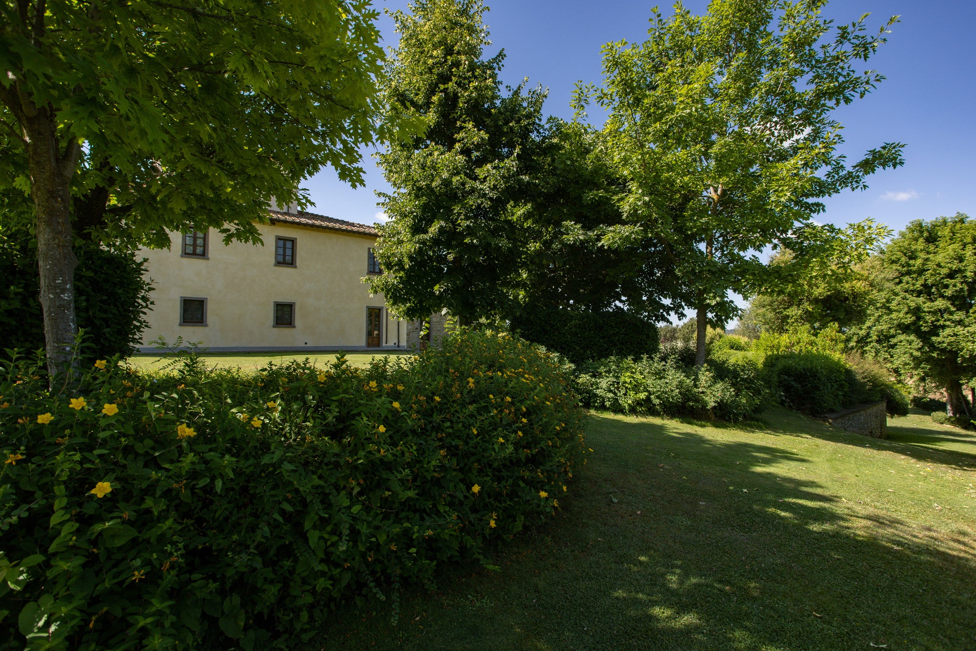 Villa Leona - High end villa near Cortona sleeps 16