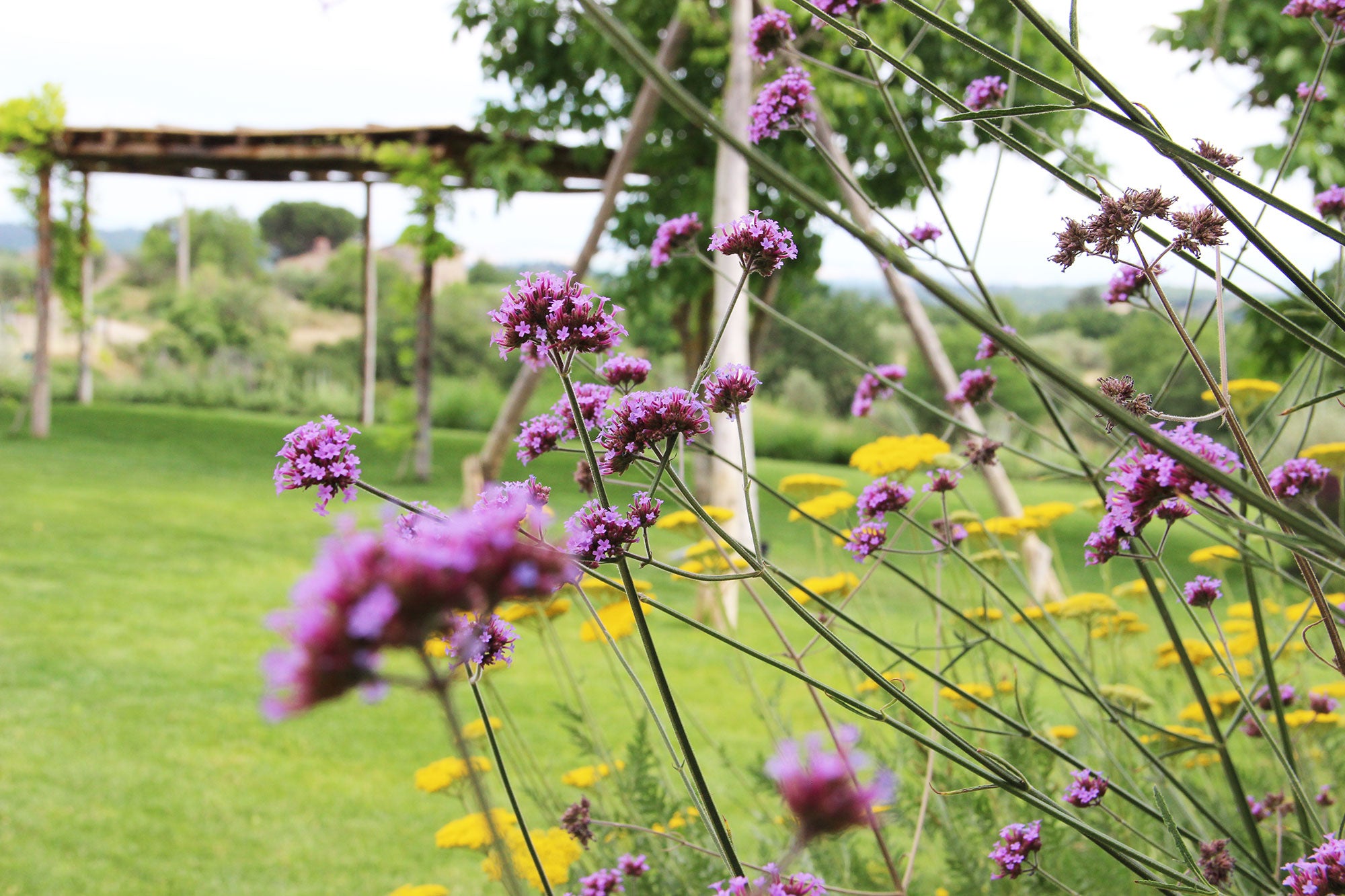CentoTrentoUno - Villa in Chianti sleeps up to 10