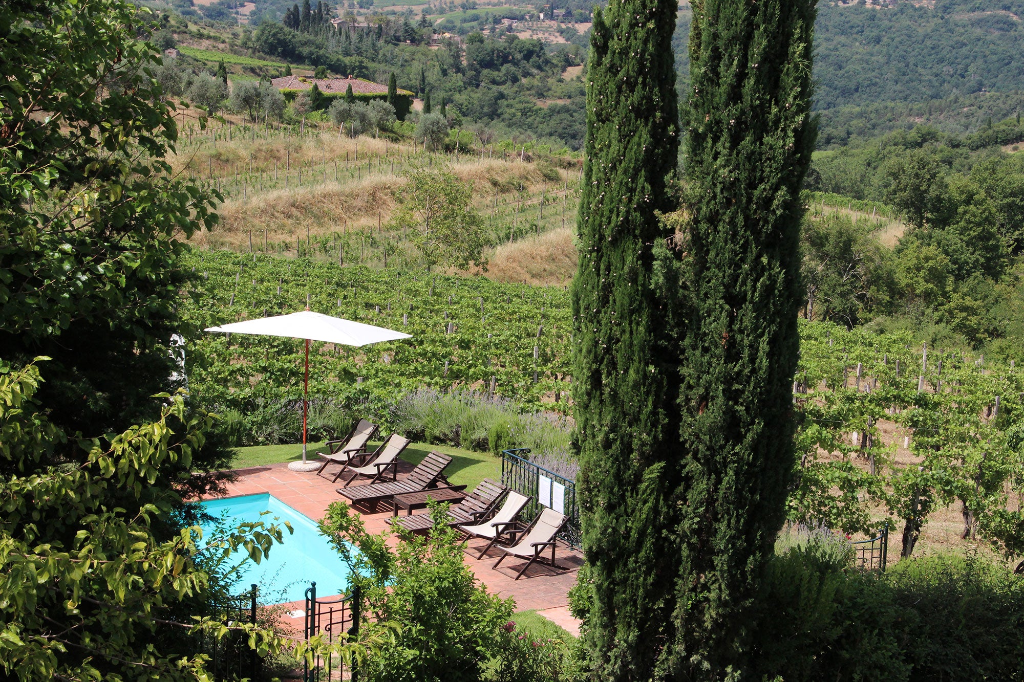 Panzano pool in the vineyards