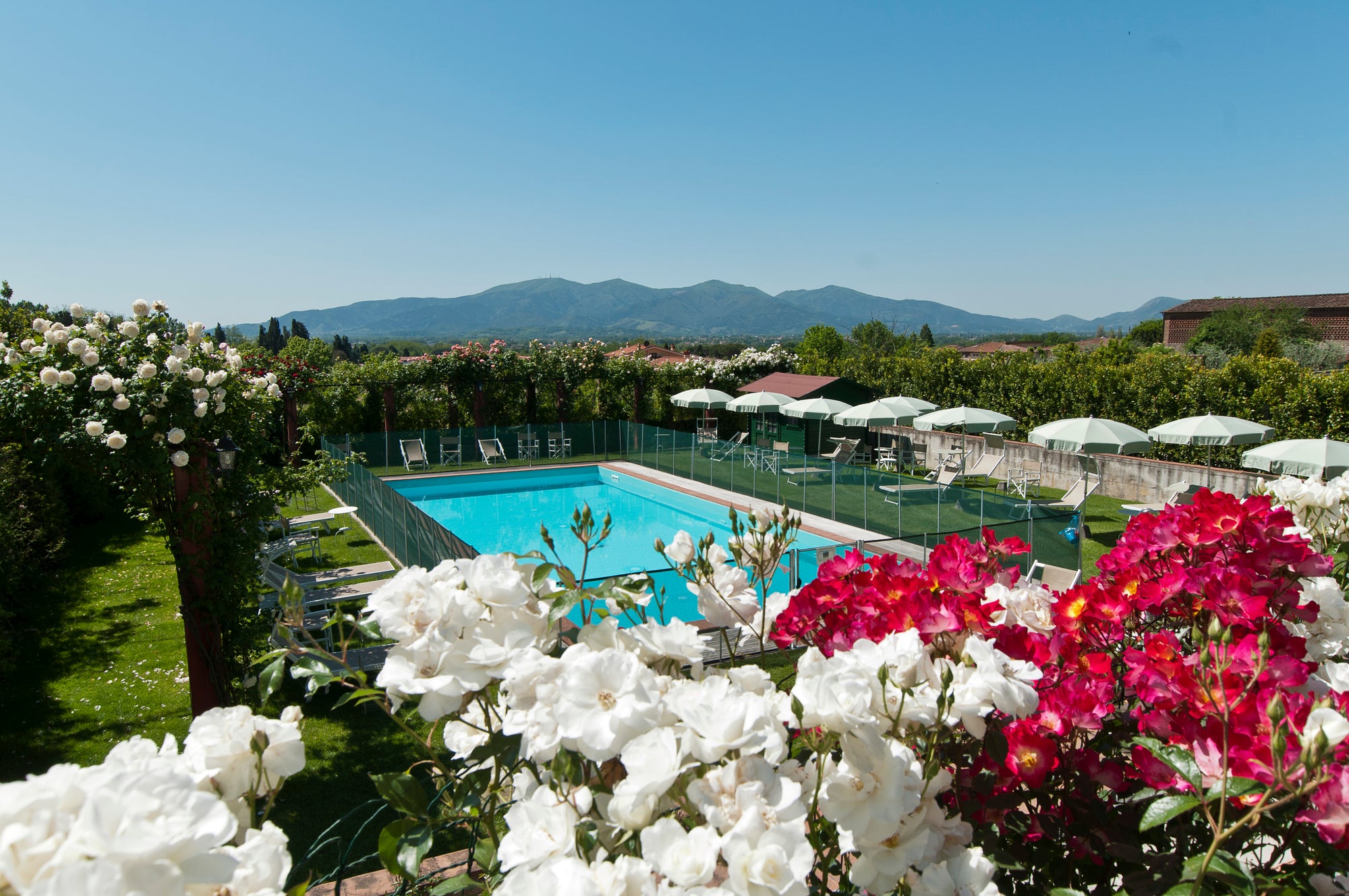 Villa Rosa di Daniela - lovely Lucca villa - 16 bedrooms - sleeps up to 32