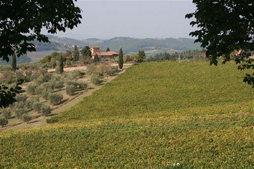 Venti - Chianti wine estate - sleeps up to 8
