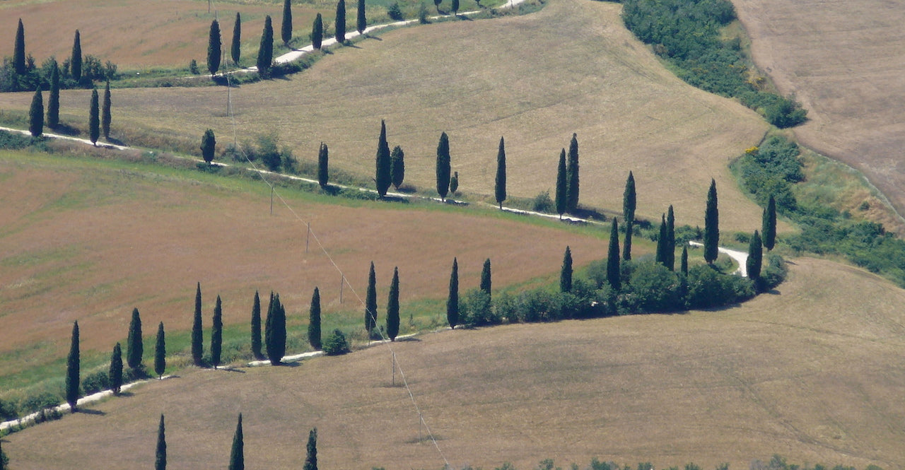 Podere Graziella - Luxury tuscan farmhouse sleeps 10