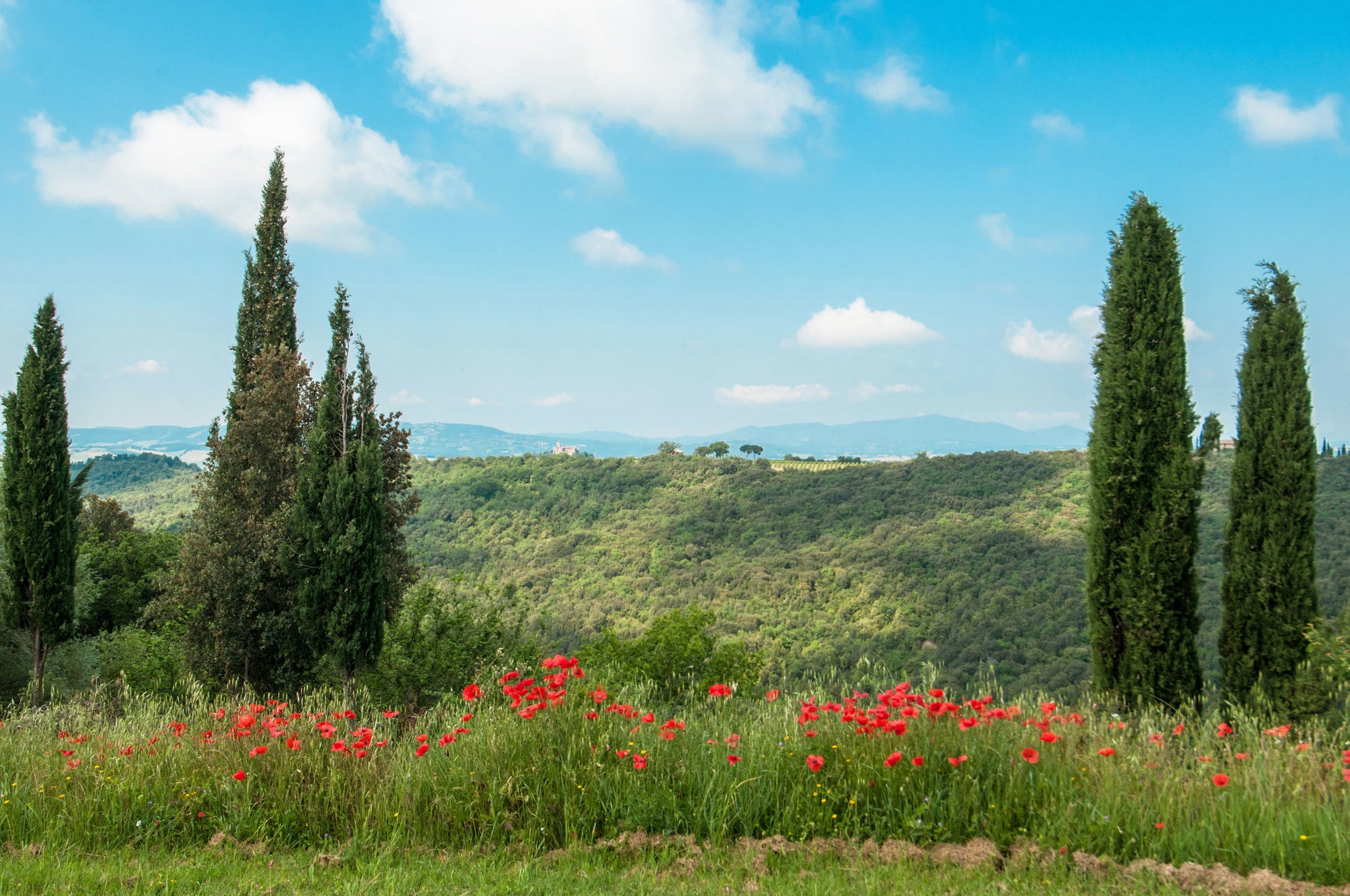 Fontanelle - luxury villa sleeps 12 or more on request