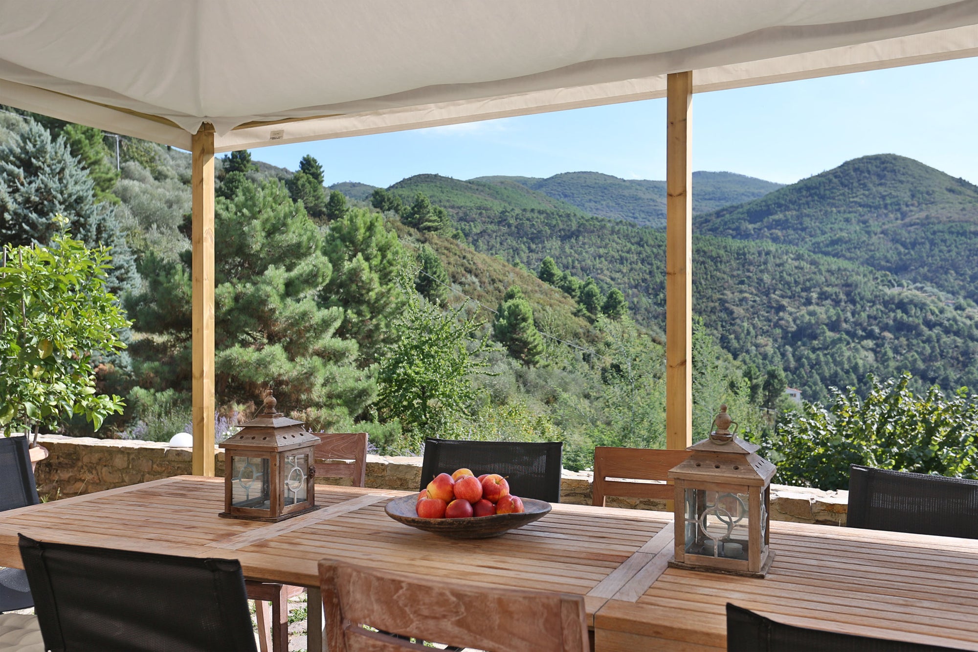 Chiodo - tuscan villa for 10, near Lucca