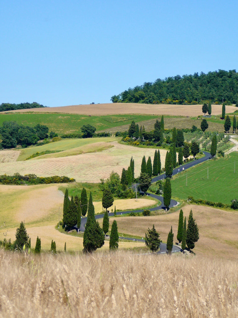 Three Scenic Drives in Tuscany I Never Rush