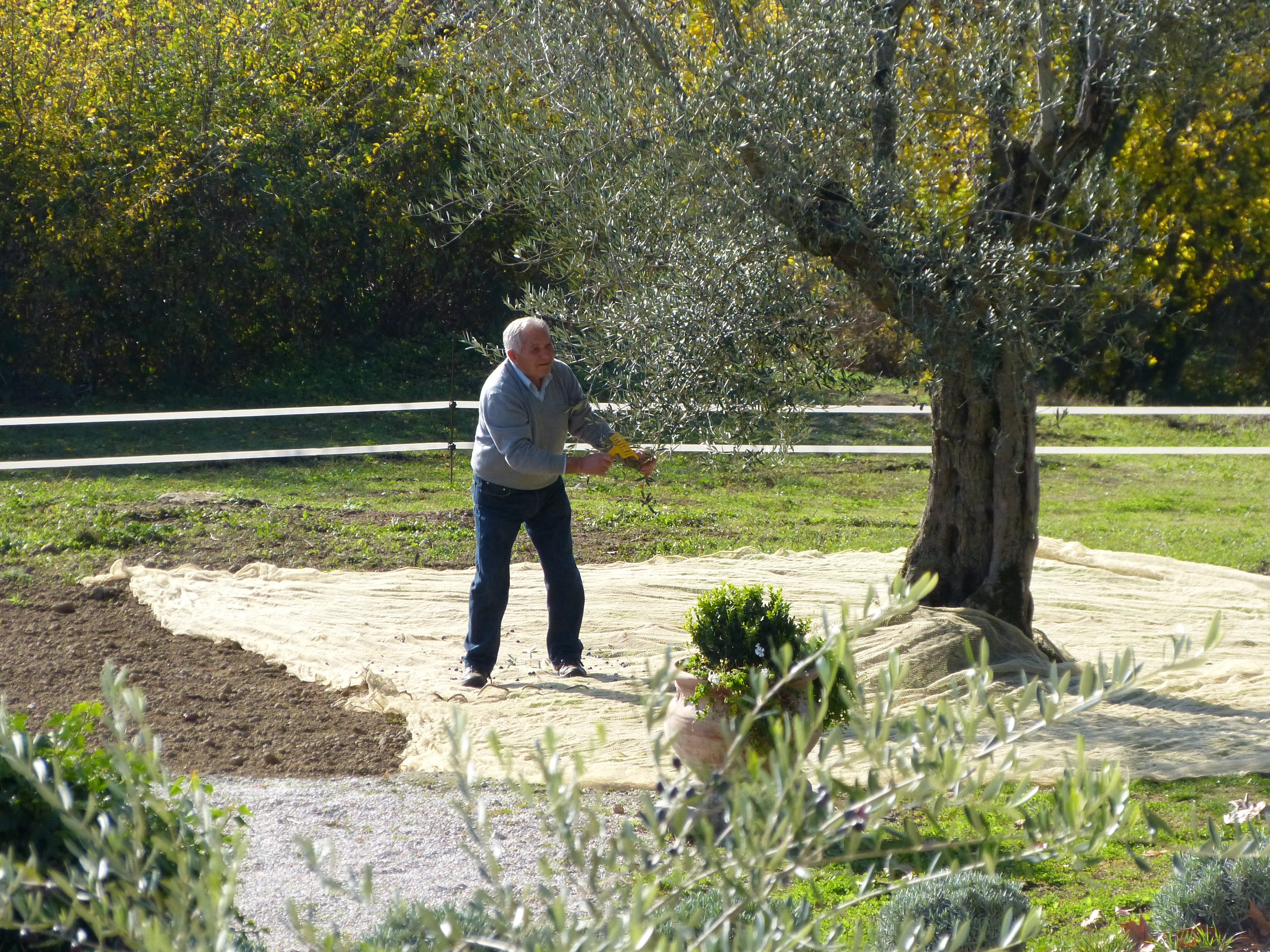 Tuscany Experiences & beyond