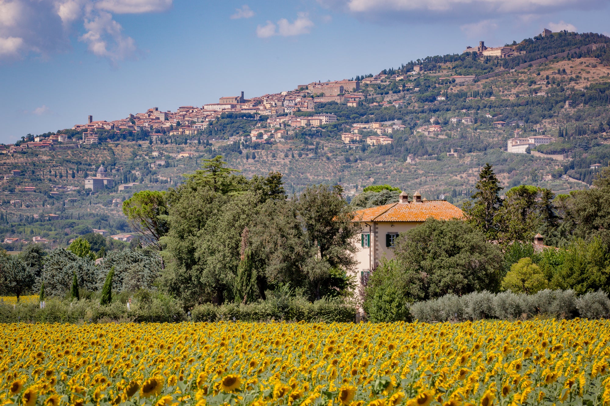 Villa Principe - Luxury villa near Cortona - 9 bedrooms