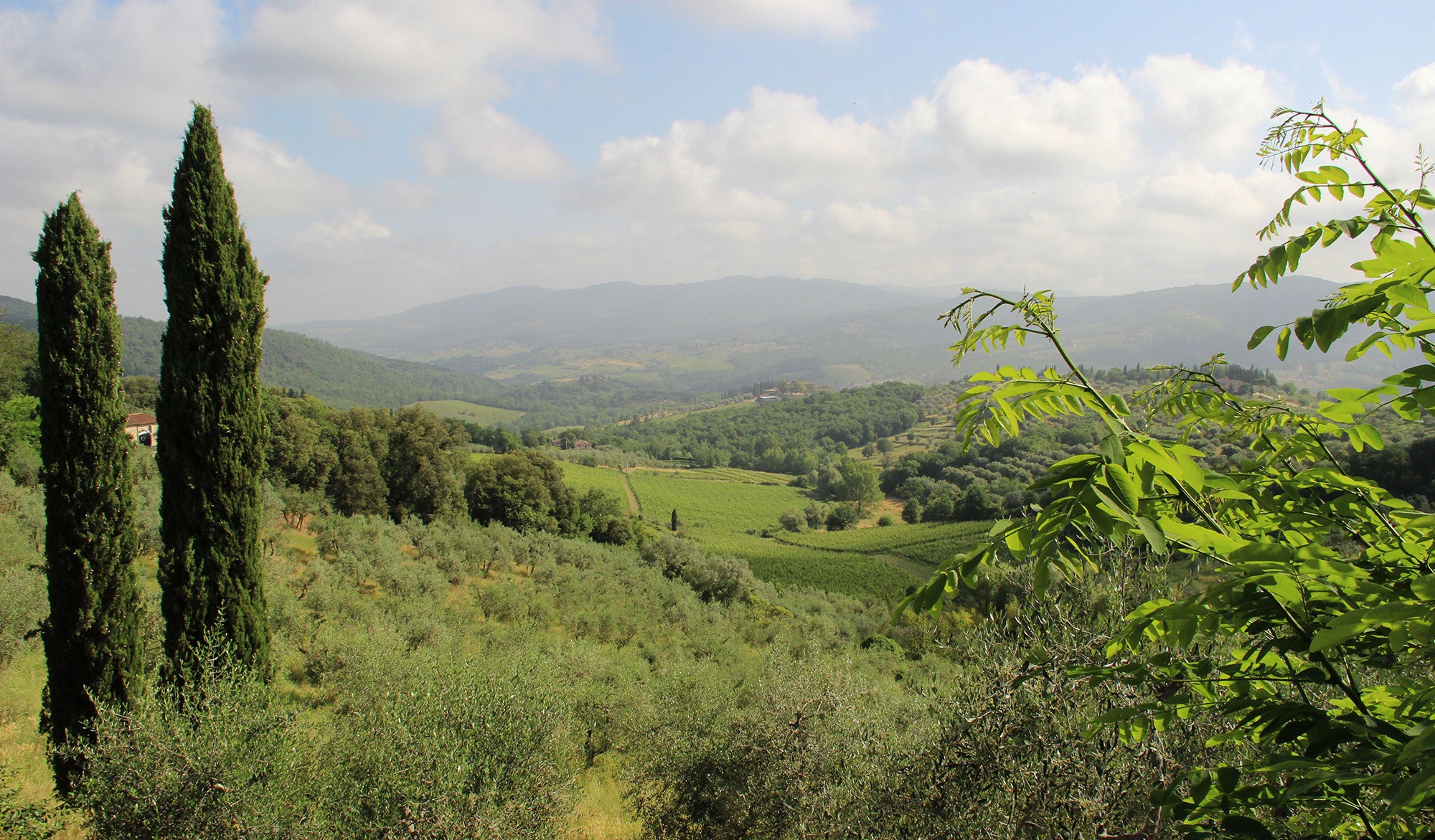 CentoOtto - Villa in Panzano sleeps up to 10 in 5 bedrooms, 5 bathrooms