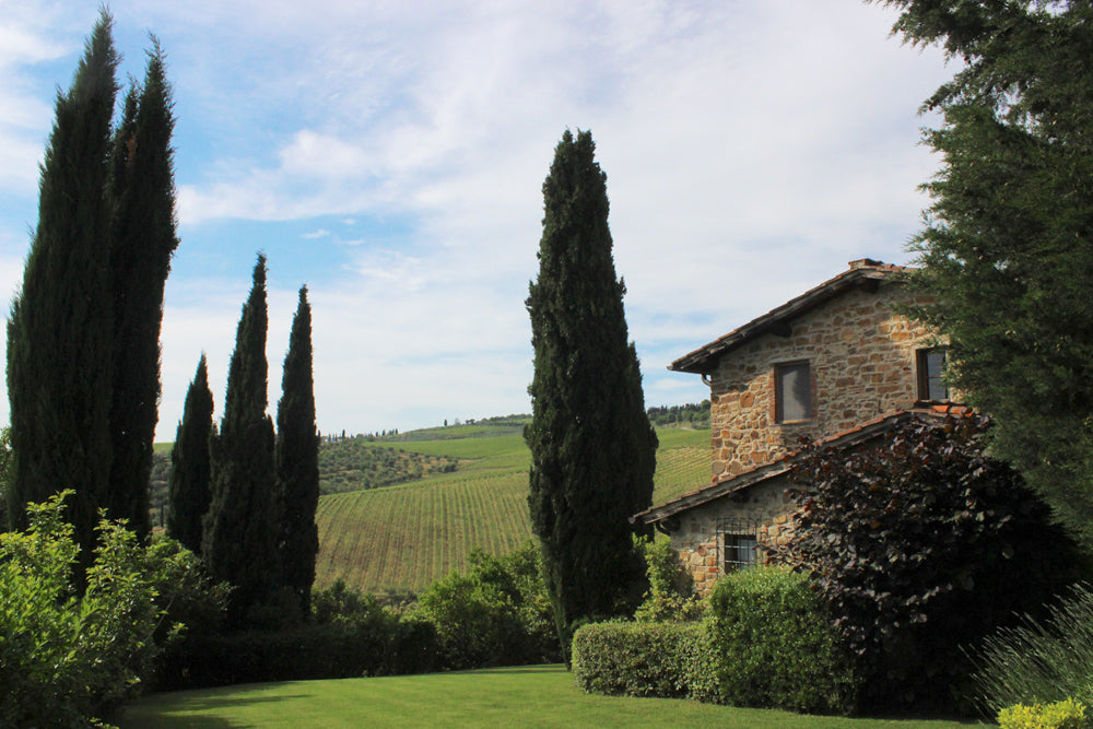 Panzano Vista 19 - sleeps up to 6