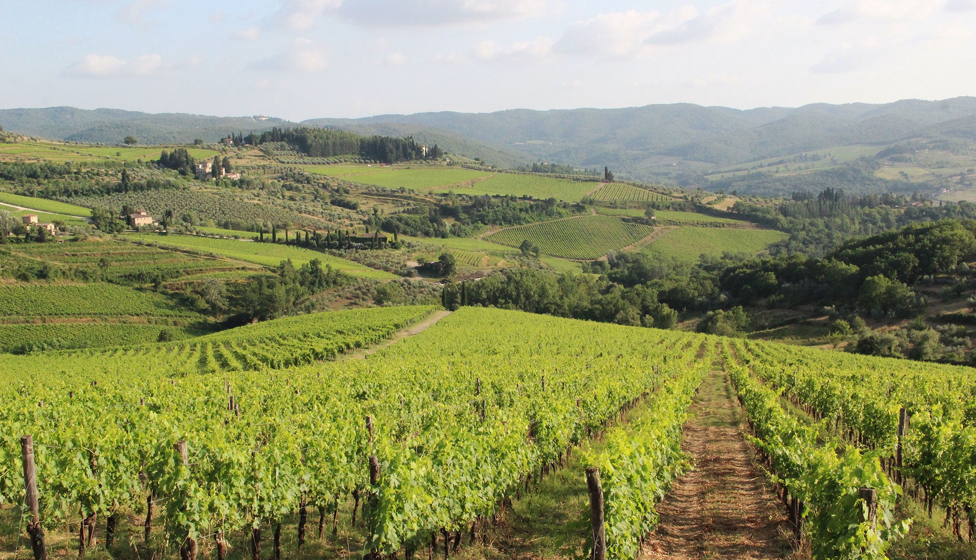 Venti  - Chianti wine estate - sleeps up to 8