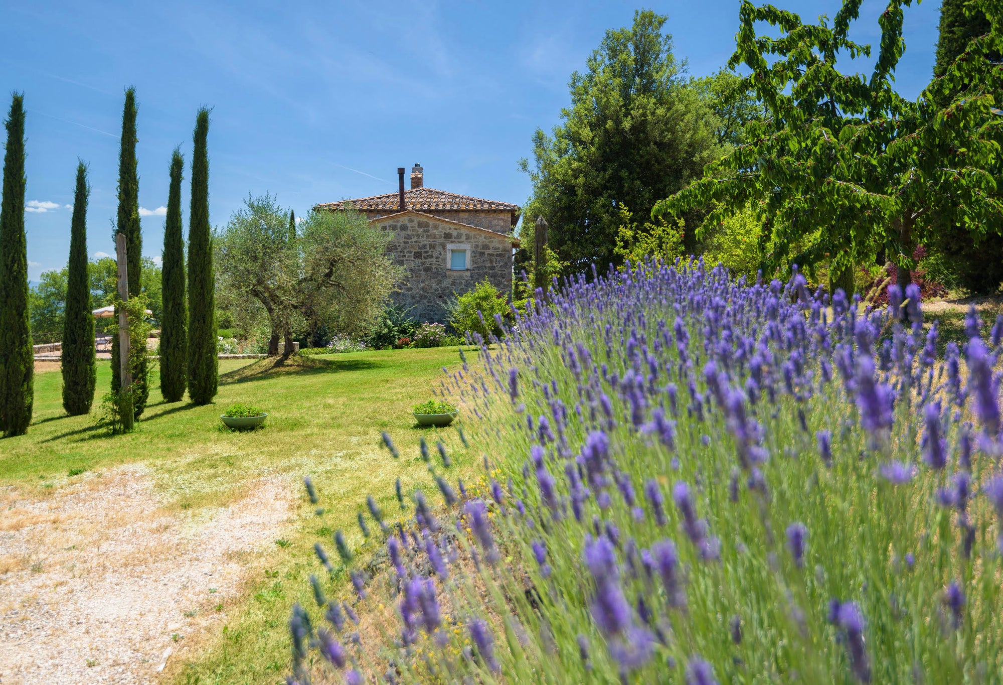 Quercus - Tuscan Villa with Private Pool & Winery near the Val d’Orcia | Sleeps 6