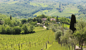 CentoQuarantaQuatro sleep up to 10 villa in Chianti