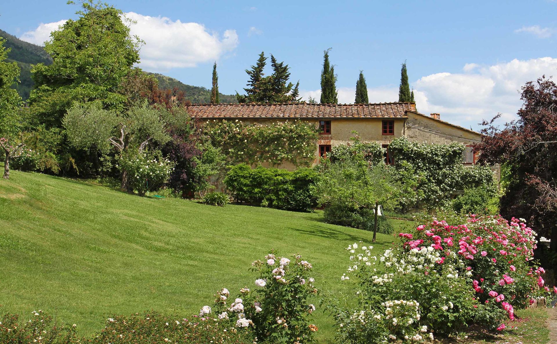 Borgo di Marcello - various units  to sleep 4, 6 rent whole property to Sleep up to 34