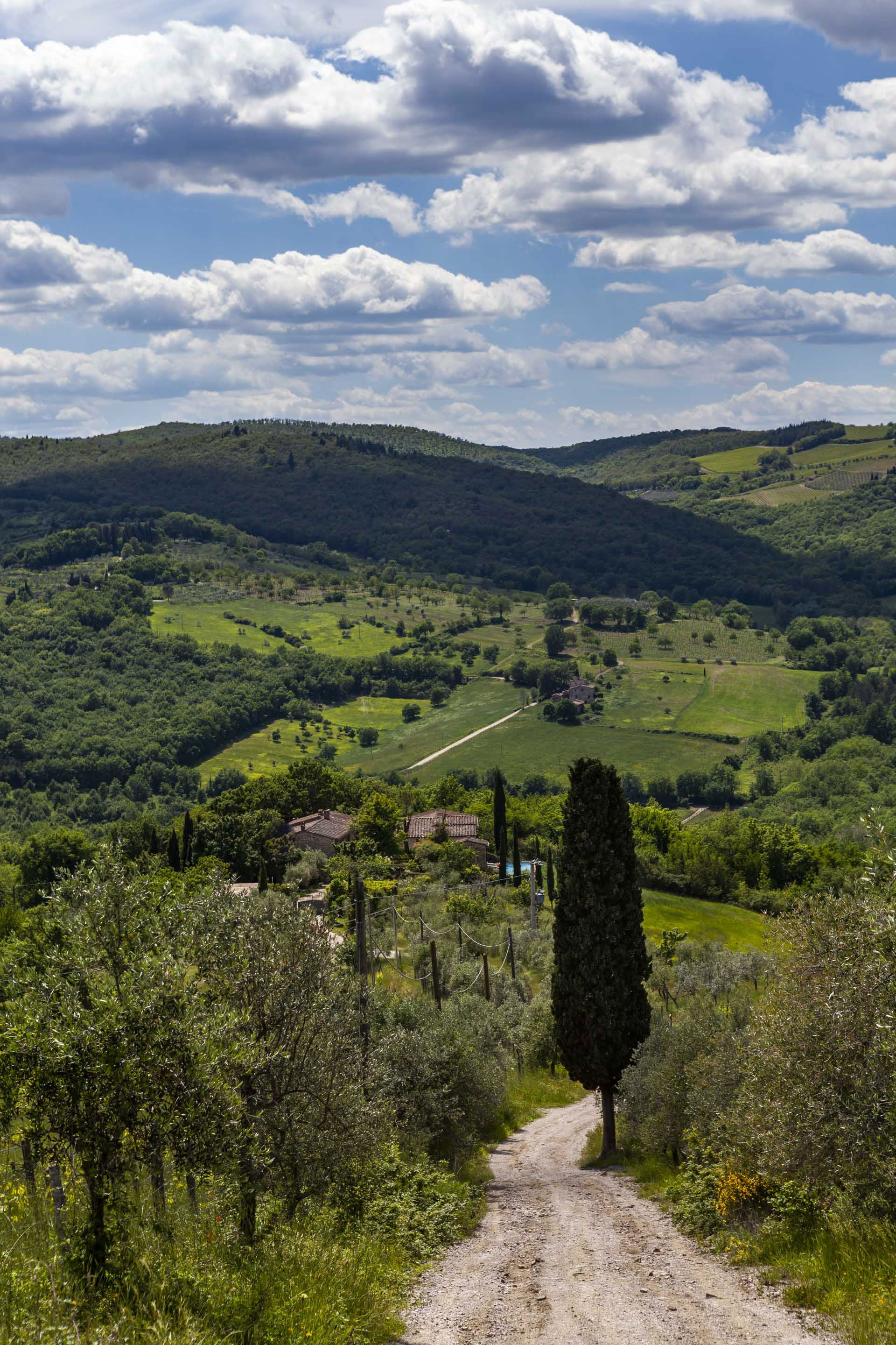 CentoQuarantaQuatro sleep up to 10 villa in Chianti