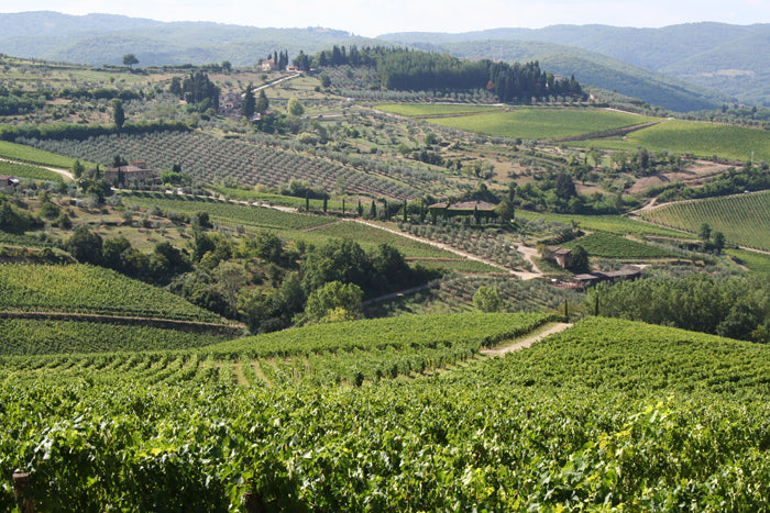 VentiDue - Chianti wine estate villa sleeps up to 6