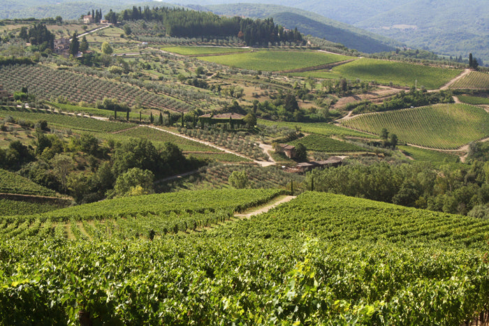 VentiUno - Chianti wine estate - sleeps 4