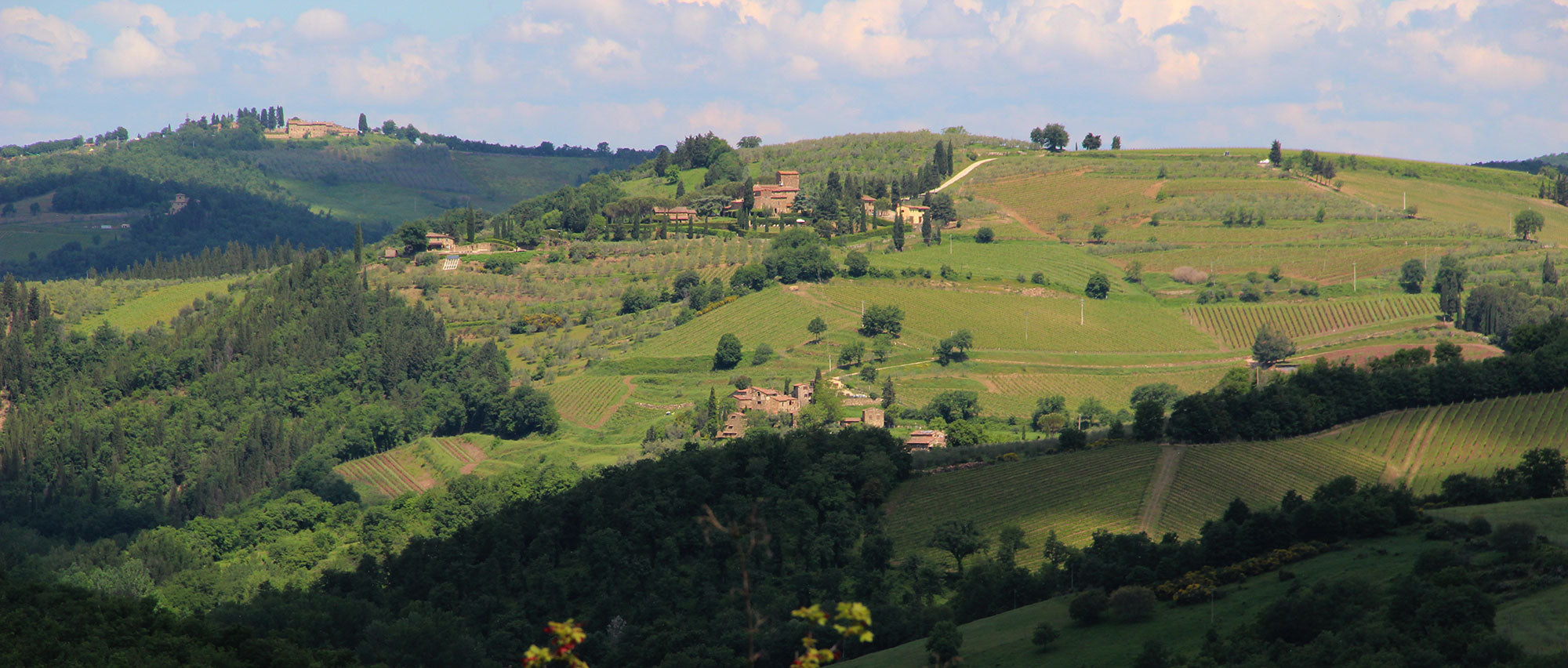 Villa Panzano - Villa in Chianti sleeps up to 12