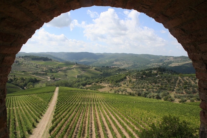 VentiUno - Chianti wine estate - sleeps 4