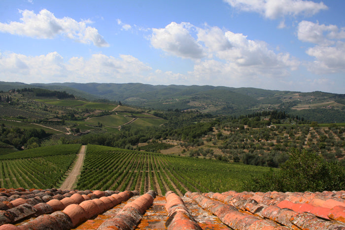 VentiUno - Chianti wine estate - sleeps 4