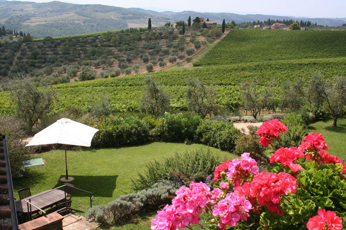 VentiTre - Chianti wine estate - sleeps up to 8