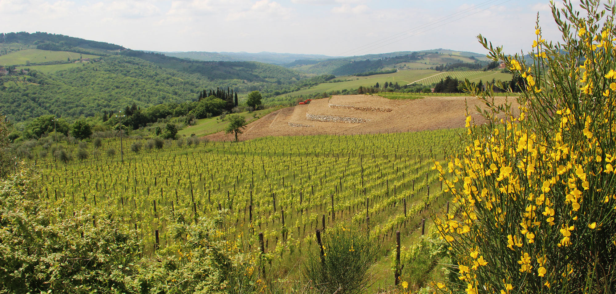 CentoQuarantaQuatro sleep up to 10 villa in Chianti