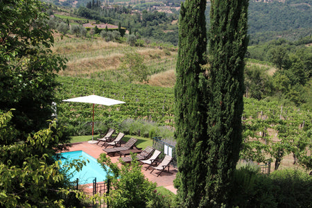 Panzano pool in the vineyards