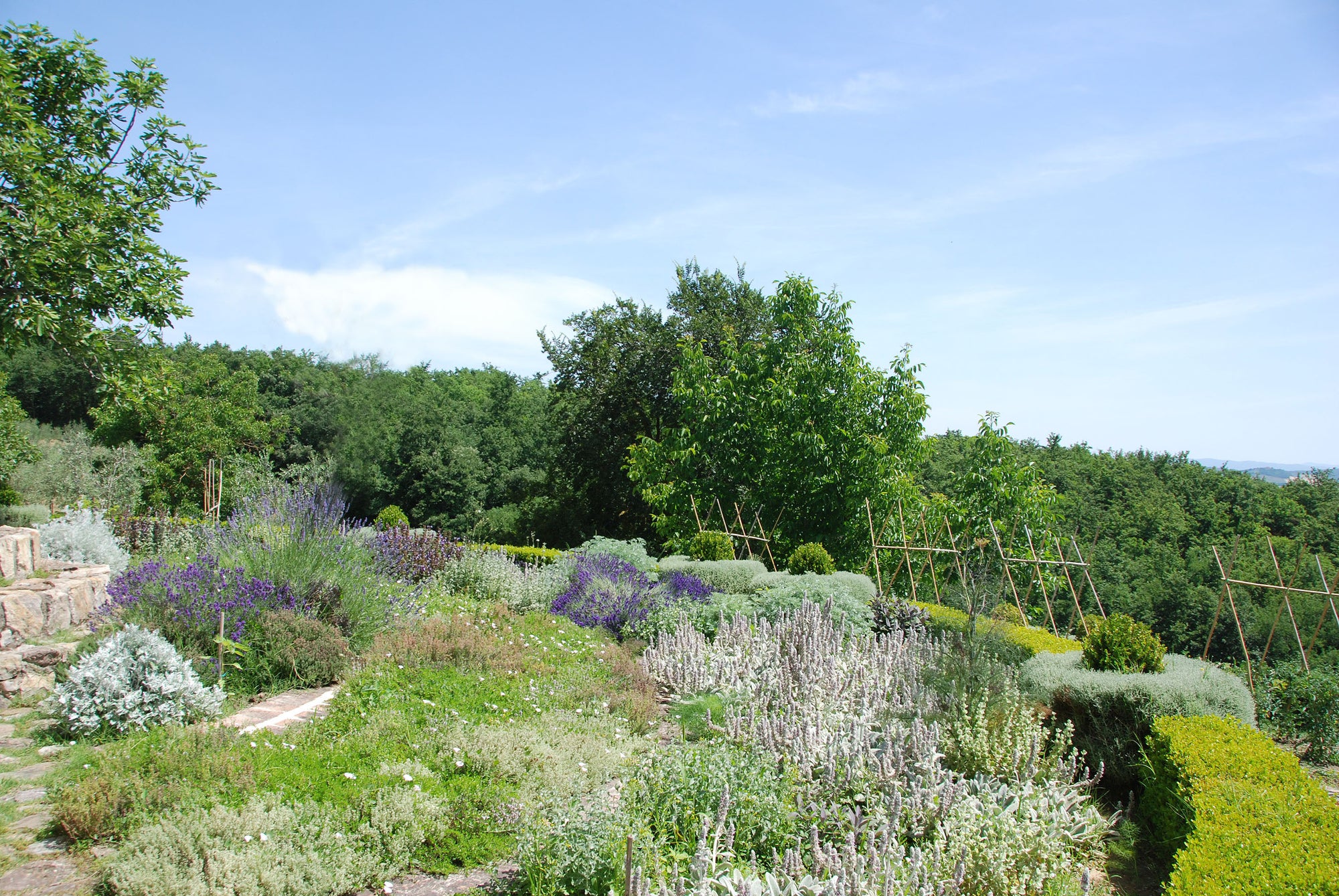 Porciglia - sleeps 12