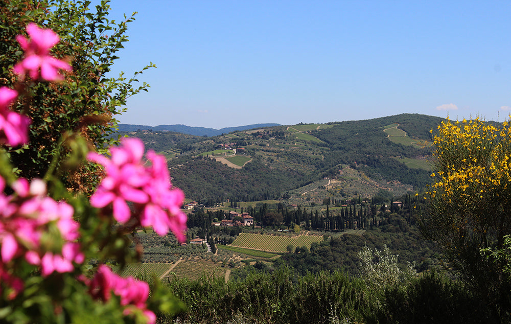 Casetta Cento - charming villa sleeps up to 5