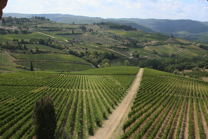 VentiUno - Chianti wine estate - sleeps 4