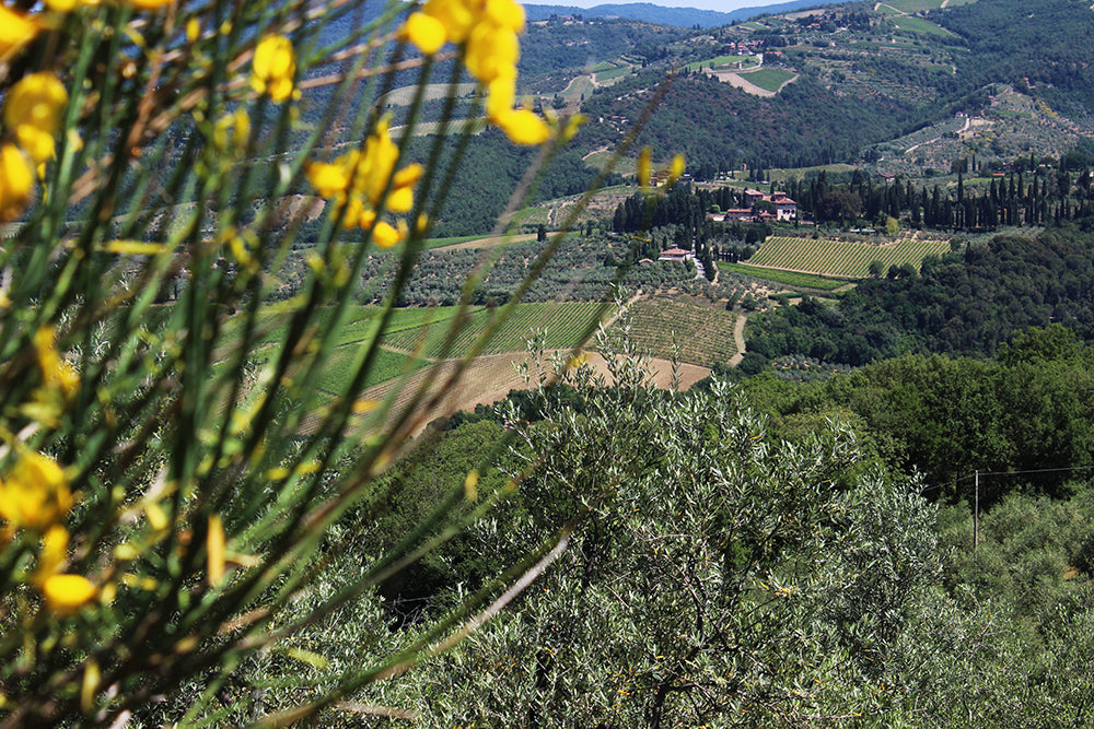 Casetta Cento - charming villa sleeps up to 5