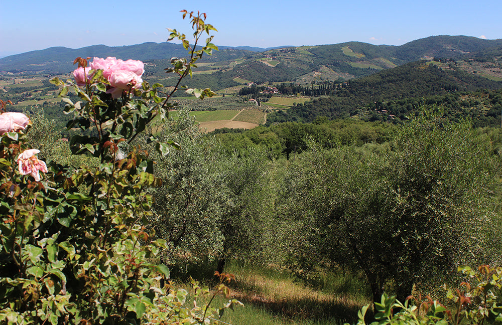 Casetta Cento - charming villa sleeps up to 5