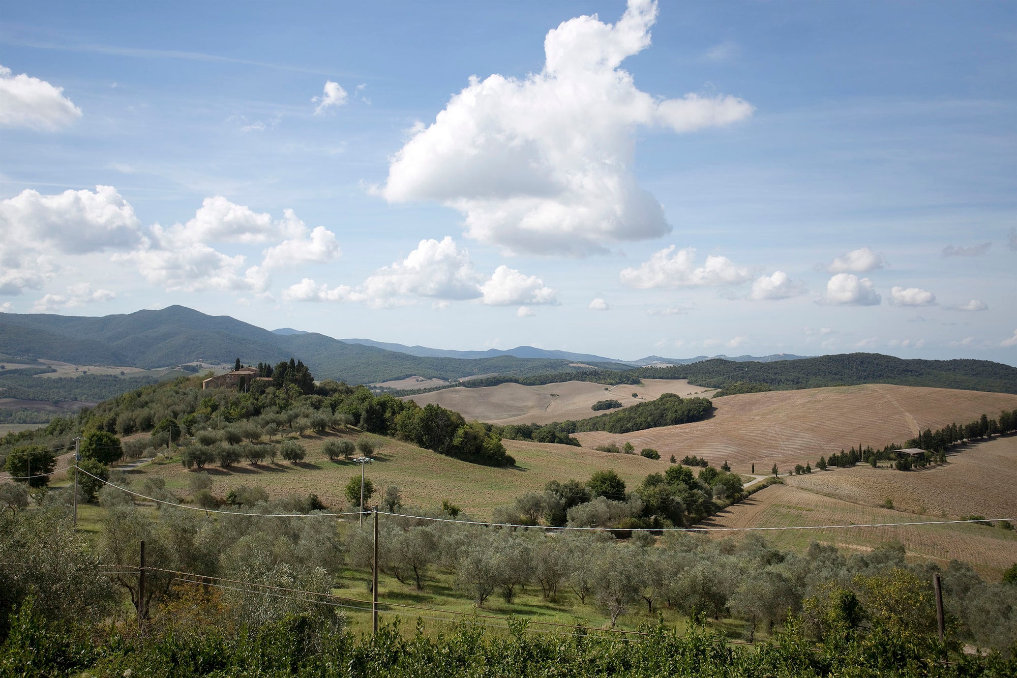 Montegemoli, Villa sleep up to 14, 7 bedrooms 4 bathrooms near bolghieri wine region,