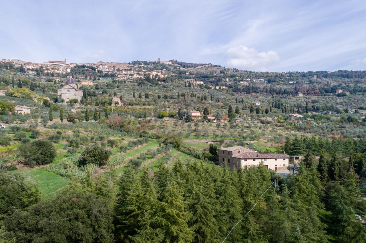 Antico Frantoio  - Sleeps 10, up to 15 with guest house