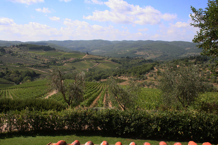VentiDue - Chianti wine estate villa sleeps up to 6