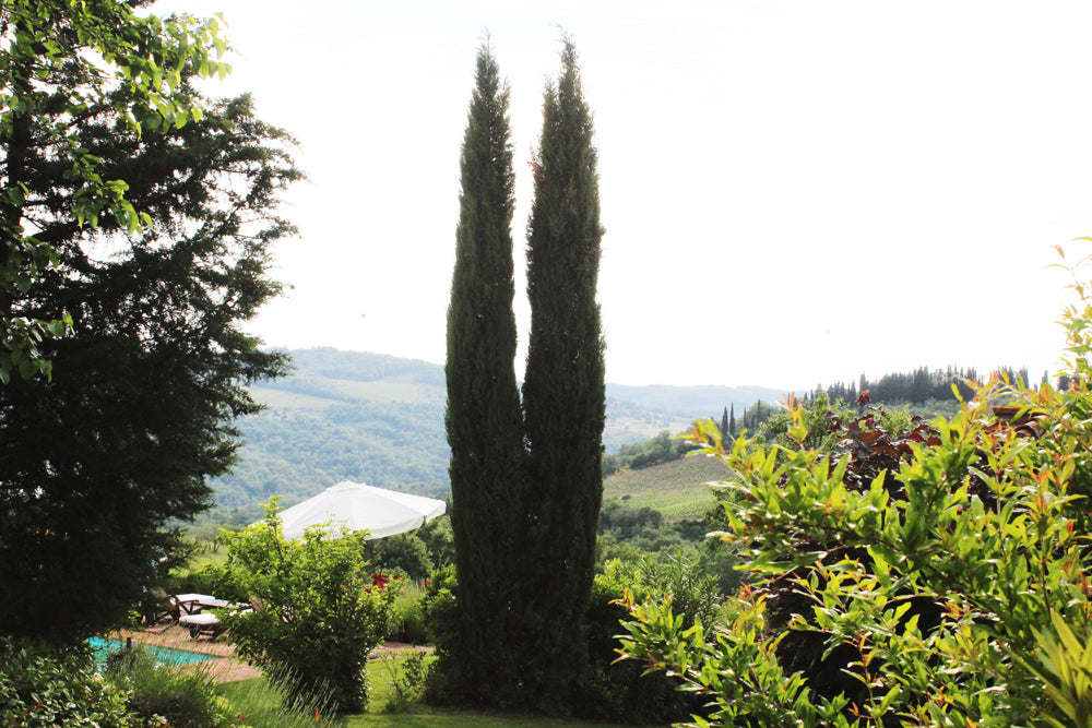 Panzano Vista 17 - Chianti villa sleeps 4, 2 bedrooms 1 bathroom Celebrate Chianti wines