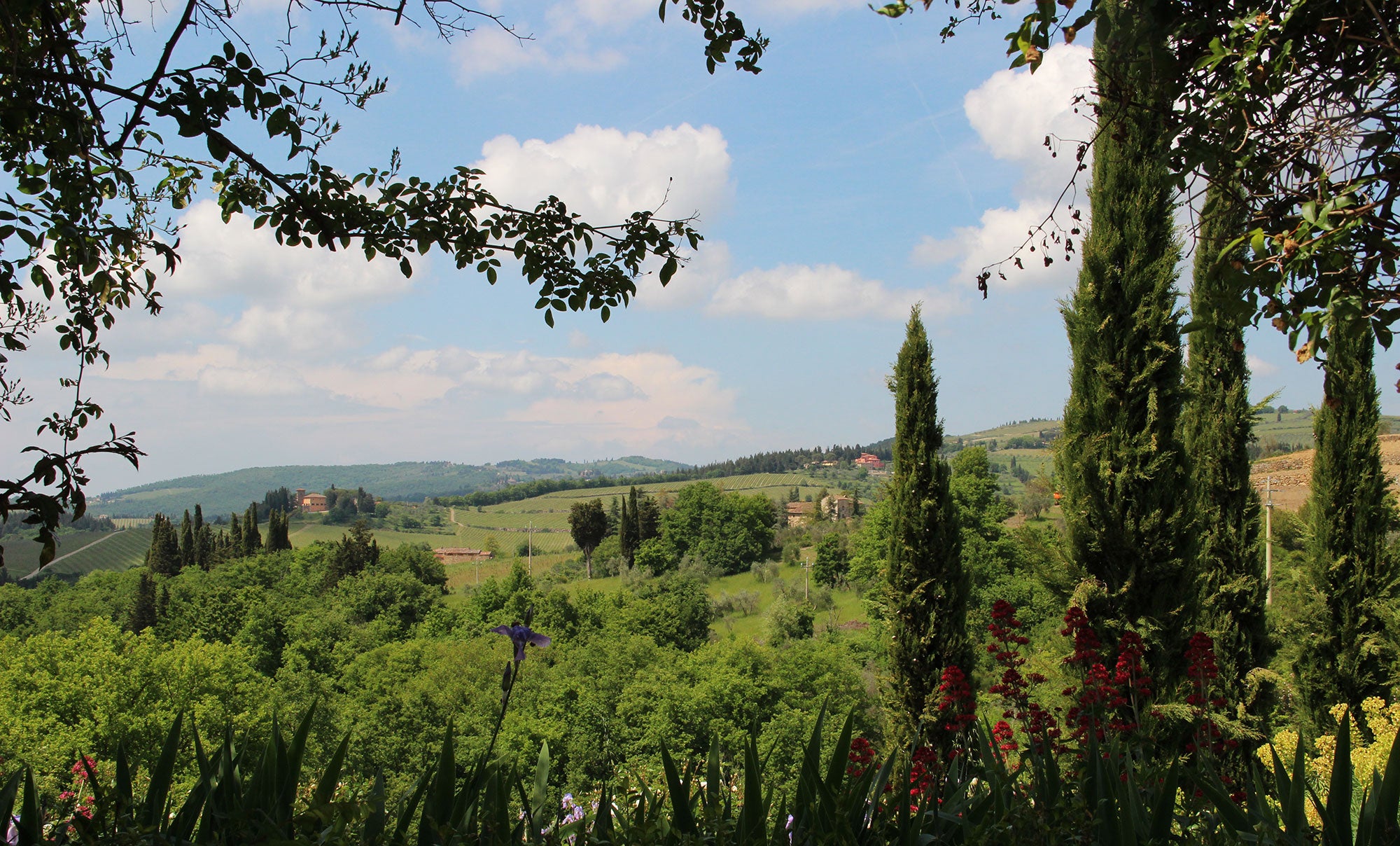 CentoQuarantaQuatro sleep up to 10 villa in Chianti