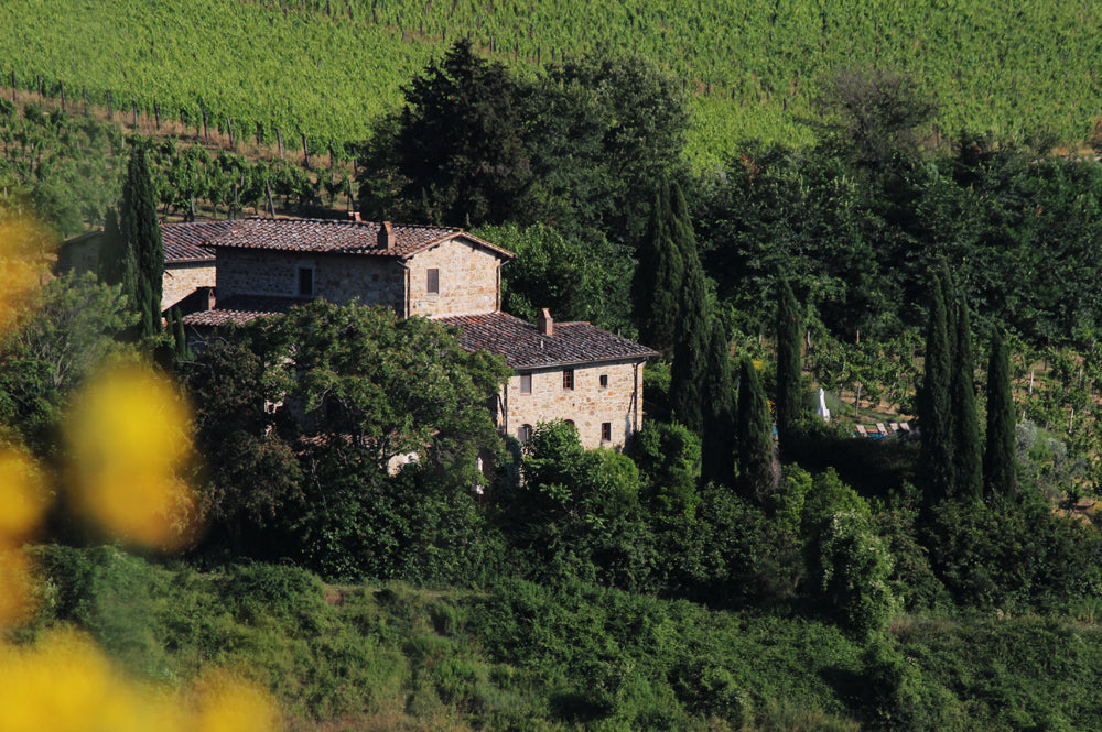 Panzano Vista 17 - Chianti villa sleeps 4, 2 bedrooms 1 bathroom Celebrate Chianti wines