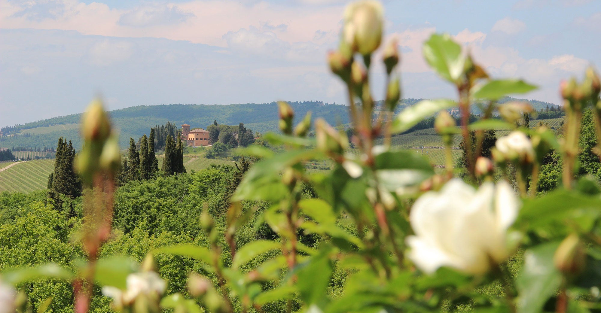 CentoQuarantaQuatro sleep up to 10 villa in Chianti