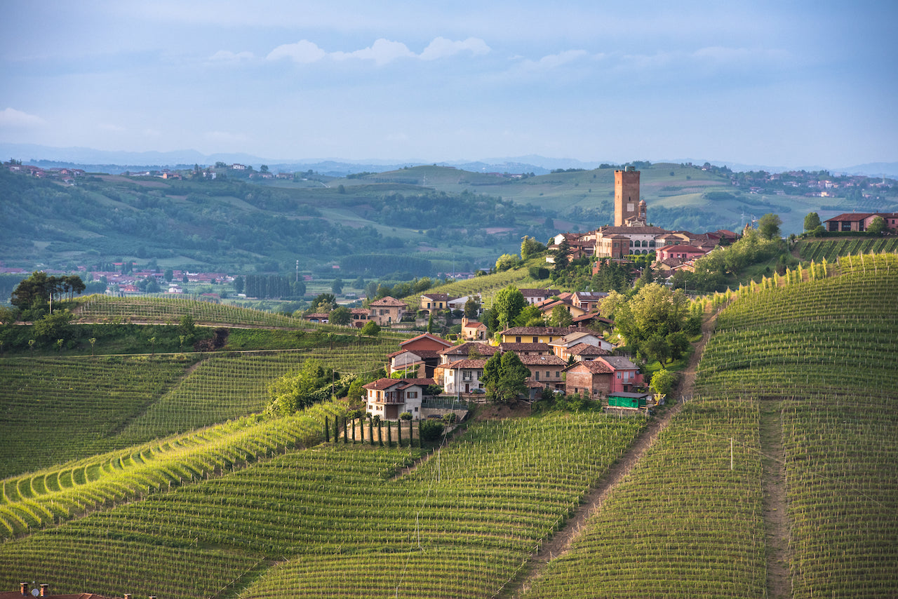 Piedmont Food & Wine