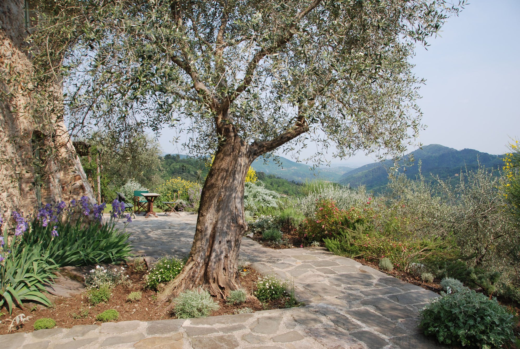 Sorgente - villa near Lucca sleep up to 10, 5 bedrooms, 6 bathrooms
