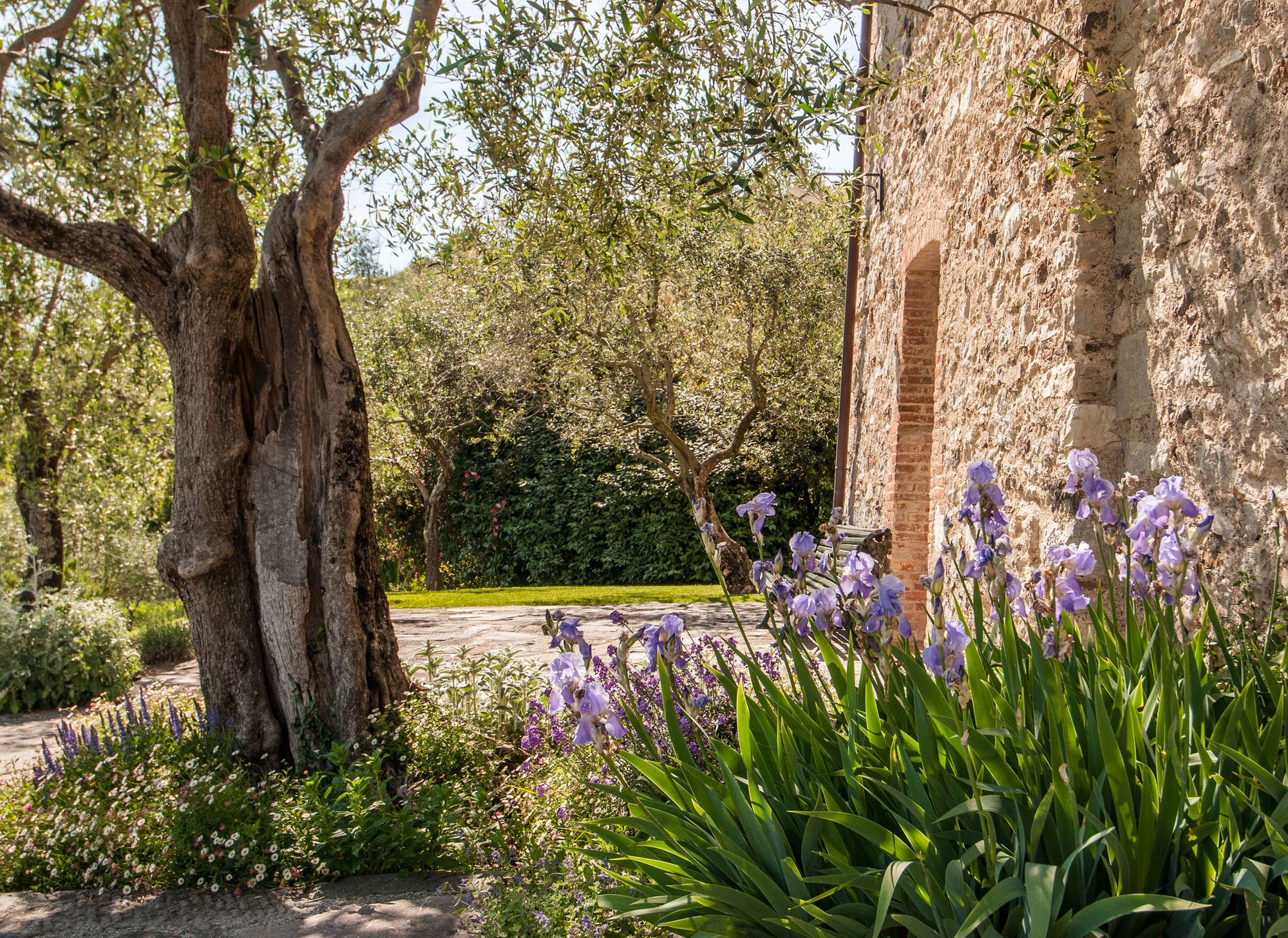 Sorgente - villa near Lucca sleep up to 10, 5 bedrooms, 6 bathrooms