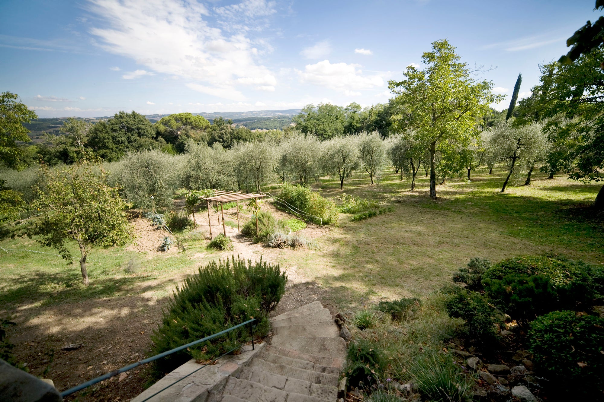 Montelopio - Tuscan villa sleeps up to 9, 5 bedrooms, 5 bathrooms